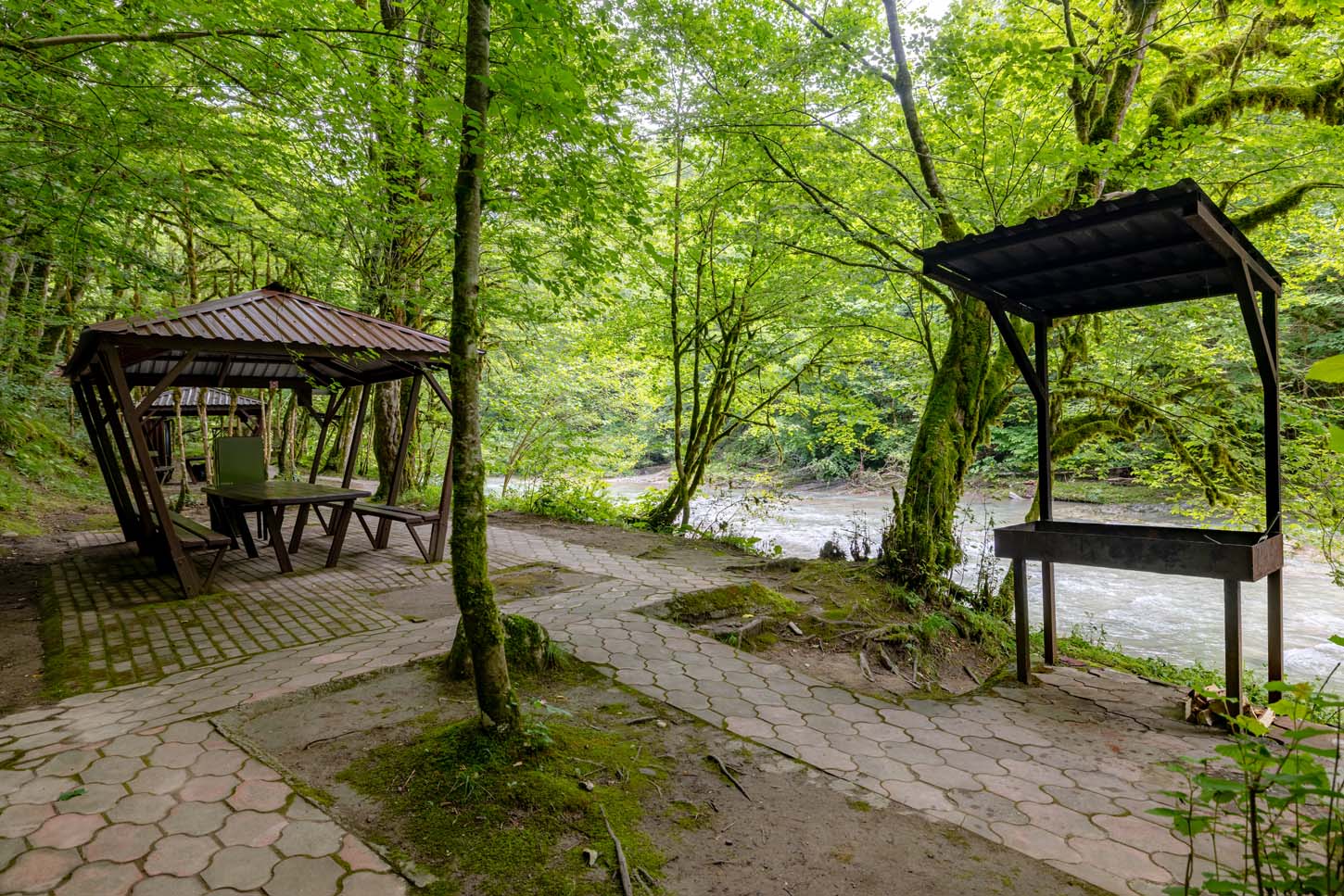 Беседка номер 3, в самшитовом лесу, фотография 2